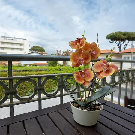 Apartment Vacation With 3 Separate And Private Parking *