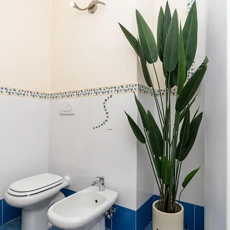 Apartment Vacation With 3 Separate And Private Parking