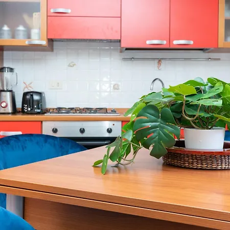 Apartment Vacation With 3 Separate And Private Parking