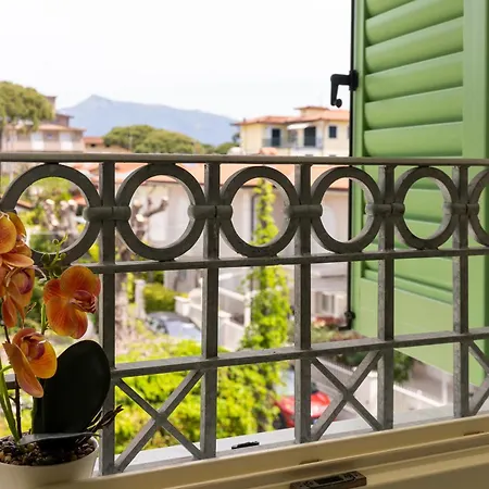 Apartment Vacation With 3 Separate And Private Parking *